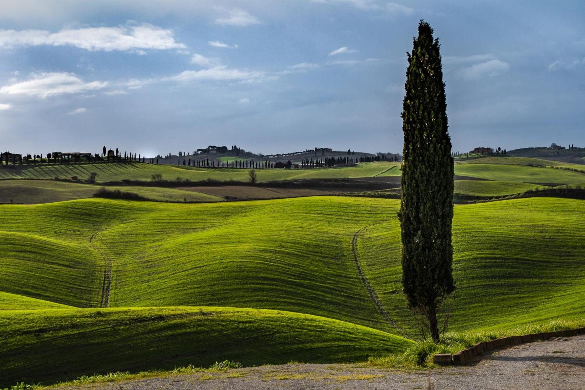 Podere Fossaccio Casa Pino Ашано Экстерьер фото